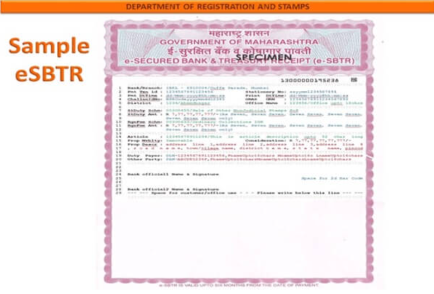 sample esbtr