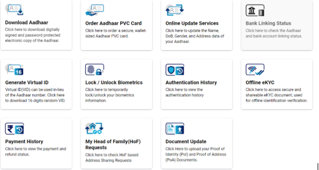 Aadhaar portal view